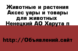 Животные и растения Аксесcуары и товары для животных. Ненецкий АО,Харута п.